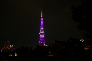 紫色の東京タワー（増上寺会館越し）