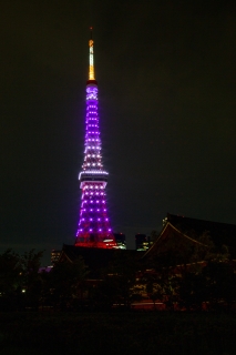 増上寺会館越しの紫色の東京タワーの夜景