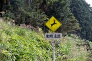 動物注意の道路標識（シカ）