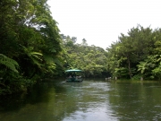 ビオスの丘の亜熱帯の森を進む湖水鑑賞舟
