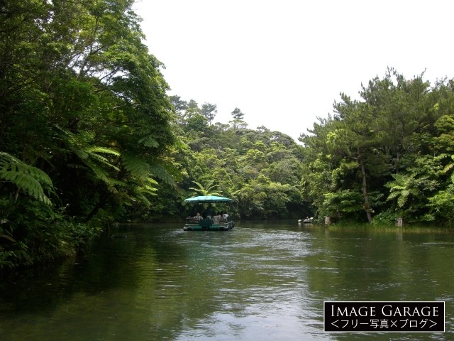 ビオスの丘の亜熱帯の森を進む湖水鑑賞舟のフリー写真素材（無料画像）