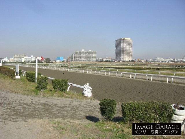川崎競馬・練習馬場のフリー写真素材（無料画像）
