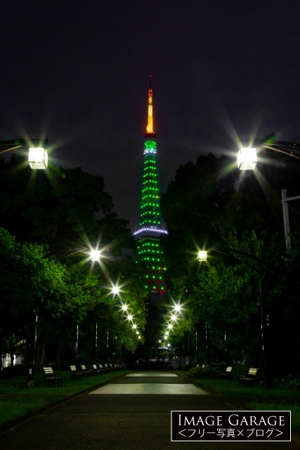 緑色の東京タワーライトアップ 芝公園4号地 フリー写真有