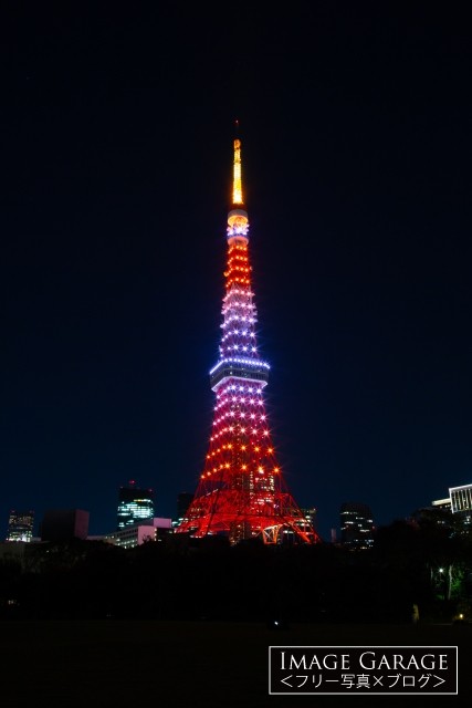 10月茜色の東京タワー（縦）のフリー写真素材（無料画像）