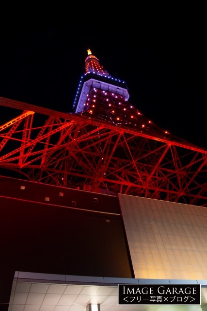 真下から眺める東京タワーの夜景のフリー写真素材（無料画像）