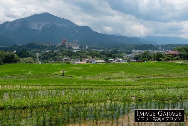 寺坂棚田と武甲山のフリー写真素材（無料画像）