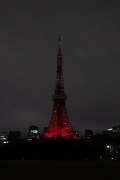 完全消灯直前の東京タワー