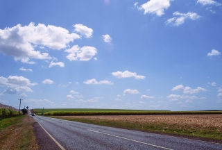 サトウキビ畑が広がるオーストラリアの道