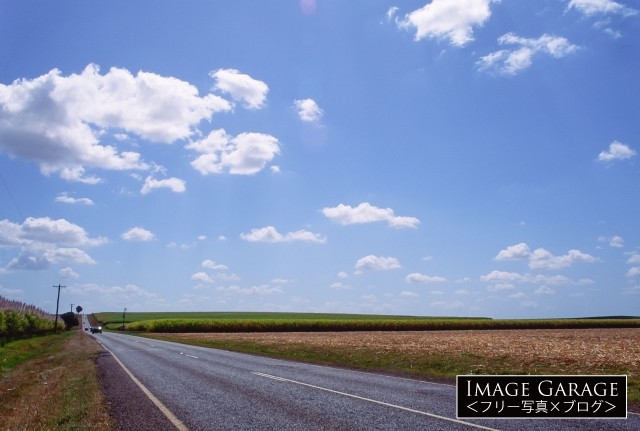 サトウキビ畑が広がるオーストラリアの道のフリー写真素材（無料画像）