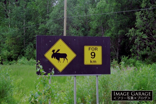 動物注意の道路標識（ヘラジカ・ムース）のフリー写真素材（無料画像）
