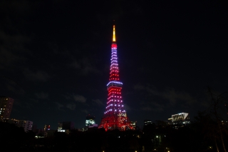 紅葉色にライトアップされた東京タワー