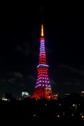 紅葉色の東京タワー（縦）