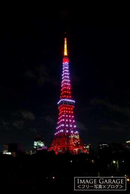 紅葉色の東京タワー（縦）のフリー画像（無料写真素材）