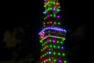 クリスマスカラーの東京タワー