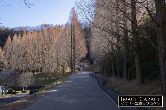 あけぼの子供の森公園の入口の坂のフリー写真素材（無料画像）