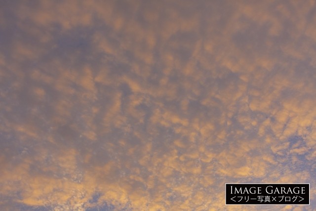 夕日を浴びたうろこ雲のフリー画像（無料写真素材）