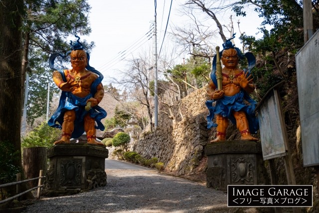 子の権現天竜寺の仁王像のフリー写真素材（無料画像）