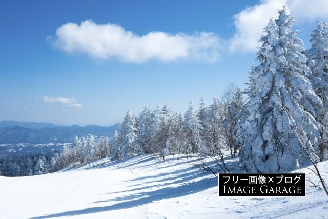 パルコールつま恋リゾート スキー場 D-1コースのフリー写真素材（無料画像）