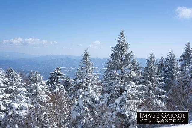 雪のかぶった木々と山々の風景のフリー写真素材（無料画像）