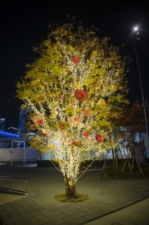 横浜グランゲートの広場のクリスマスツリー