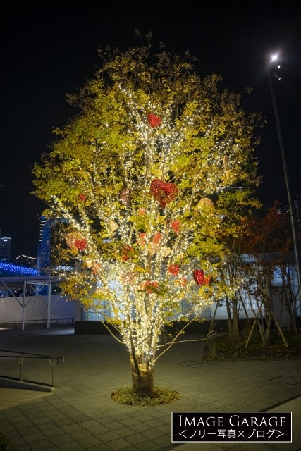 横浜グランゲートの広場のクリスマスツリーのフリー写真素材（無料画像）