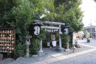 川越熊野神社・むすひの庭