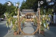 川越熊野神社の茅の輪