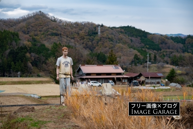 秋山・富岡地区の棚田のカカシのフリー写真素材（無料画像）