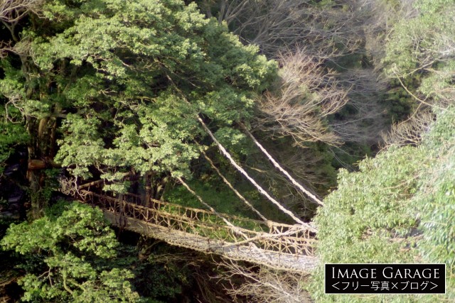 祖谷のかずら橋のフリー写真素材（無料画像）