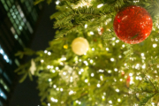 クリスマスツリー（恵比寿ガーデンプレイス2015）