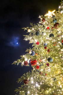 月夜の下で輝くクリスマスツリー