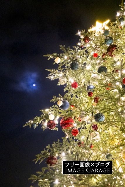 月夜の下で輝く恵比寿のクリスマスツリーのフリー画像（無料写真素材）