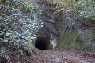 千倉林道の素掘り風トンネル