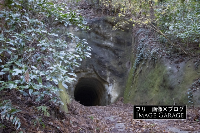 千倉林道の素掘り風トンネルのフリー写真素材（無料画像）
