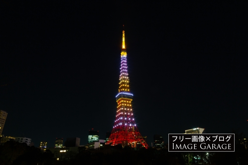 1月黄金色の東京タワー（横位置）のフリー写真素材（無料画像）