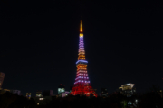 東京タワーの夜景（1月黄金色LED）