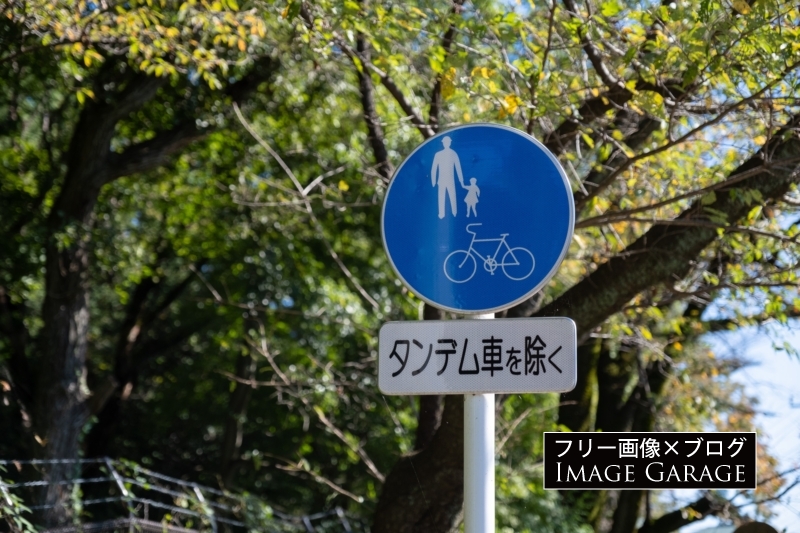 自転車歩道通行可（タンデム車を除く）の標識のフリー写真素材（無料画像）