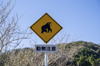 動物注意の道路標識（猿）
