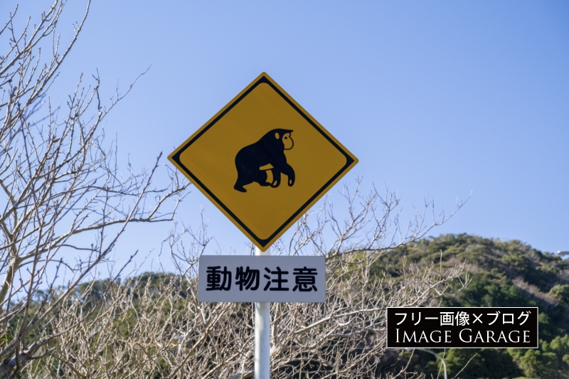 動物注意の道路標識（猿）のフリー写真素材（無料画像）