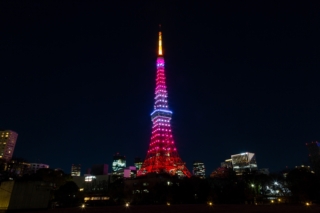 東京タワー（LED・2月紅梅色）