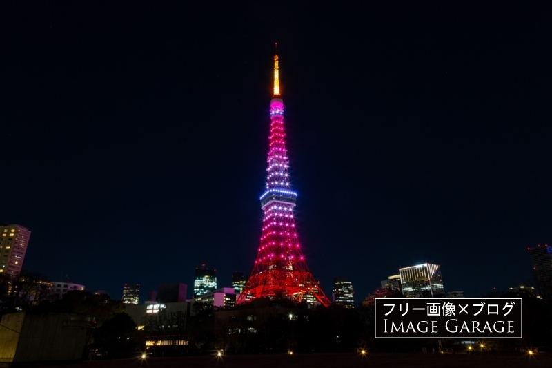 東京タワー（LED・2月紅梅色）のフリー写真素材（無料画像）