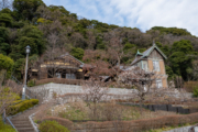 根岸なつかし公園と旧柳下邸