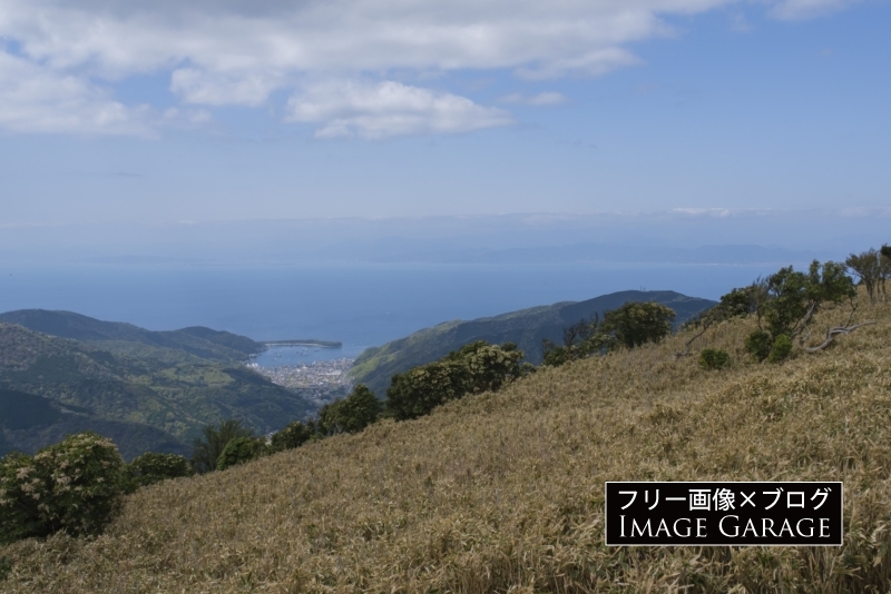 達磨山ハイキングコース・クマザサの原と戸田湾のフリー写真素材（無料画像）