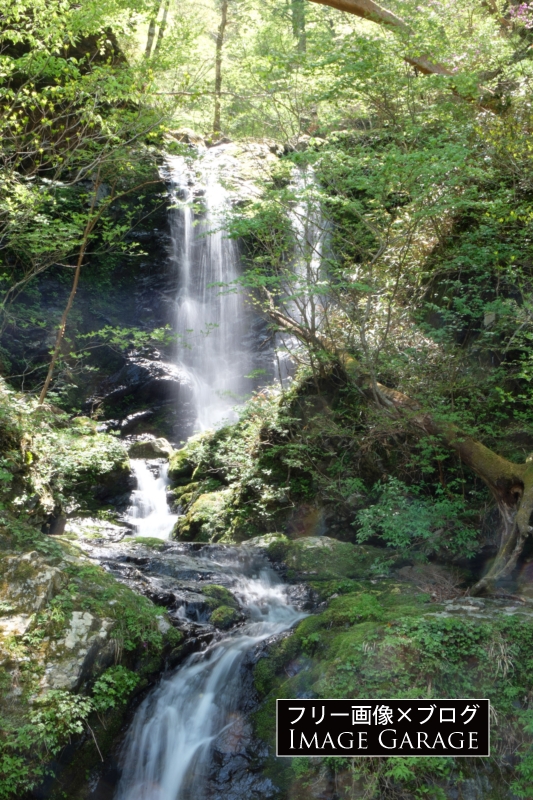 剣山スーパー林道脇の滝のフリー写真素材（無料画像）