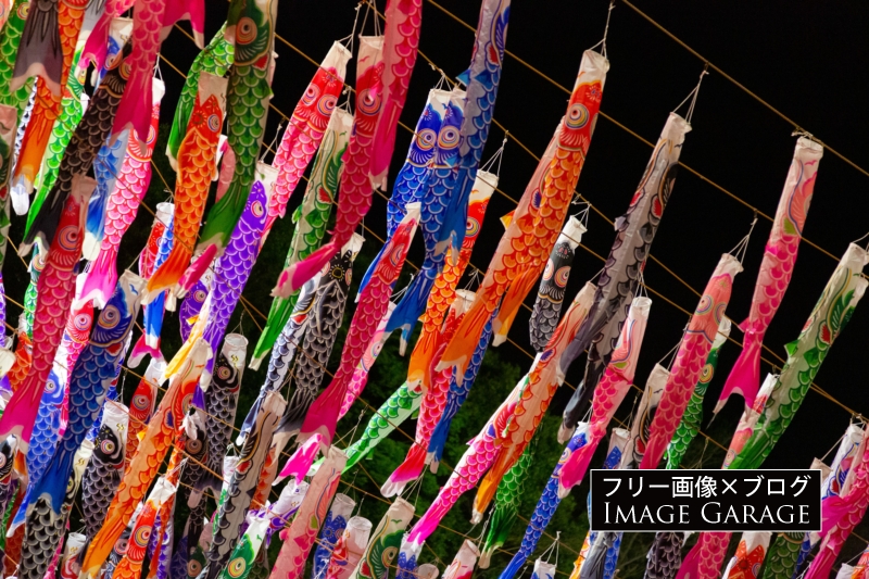東京タワーの鯉のぼりのフリー写真素材（無料画像）
