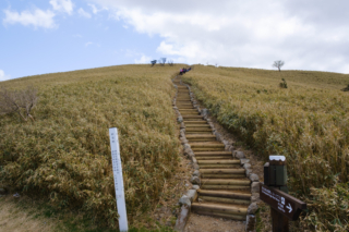 達磨山への登山道