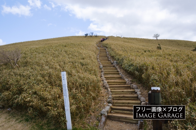 達磨山への登山道のフリー写真素材（無料画像）