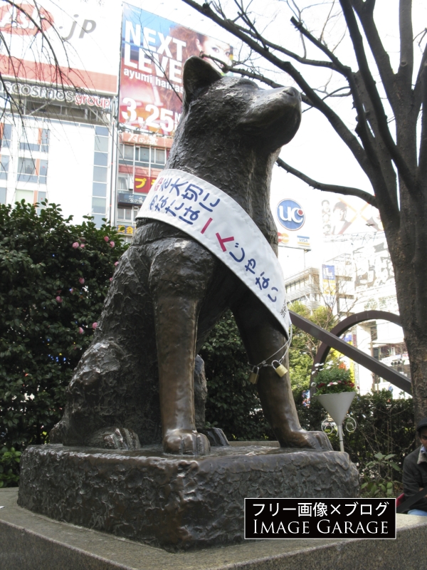 忠犬ハチ公の銅像のフリー写真素材（無料画像）
