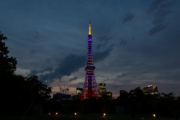 藤色に輝く夕暮れ時の東京タワー（6月）