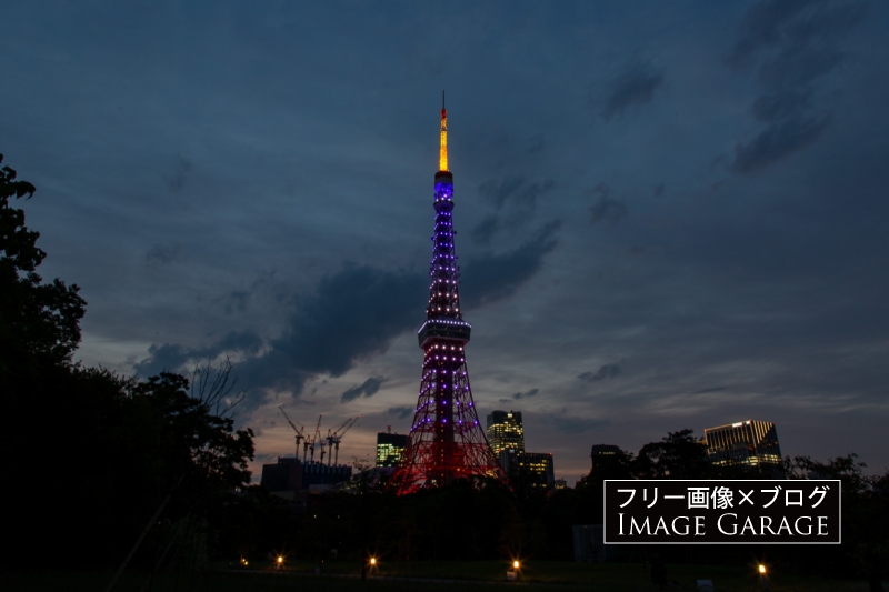藤色に輝く夕暮れ時の東京タワー（6月）のフリー写真素材（無料画像）